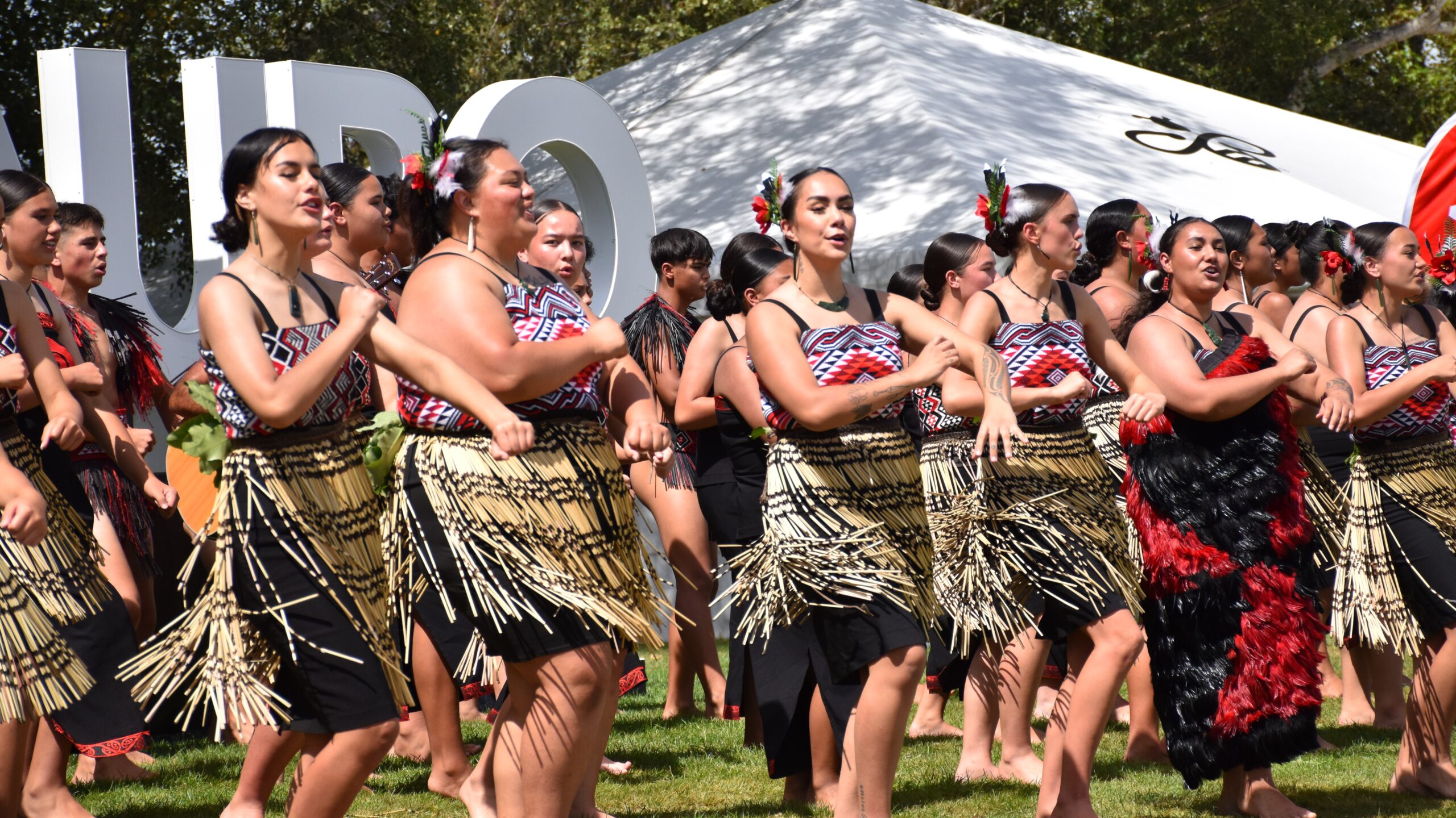 kapa haka new zealand student international