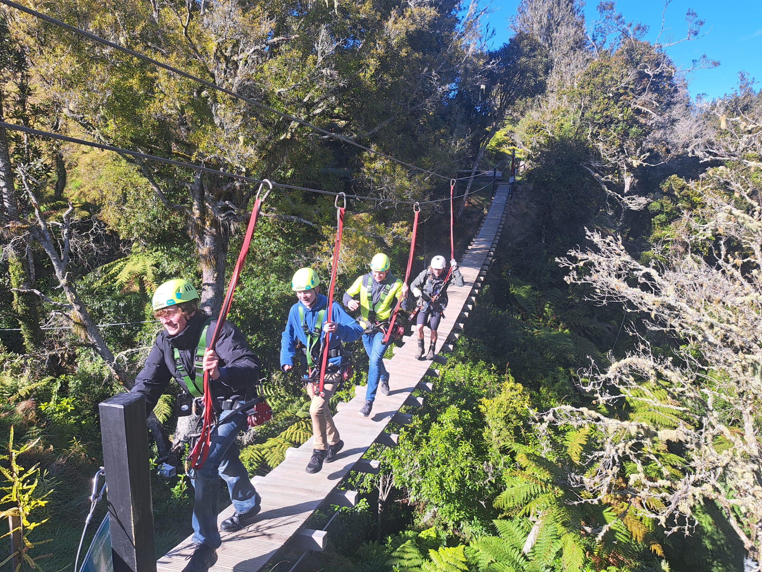 international student new zealand zipline trips college high school