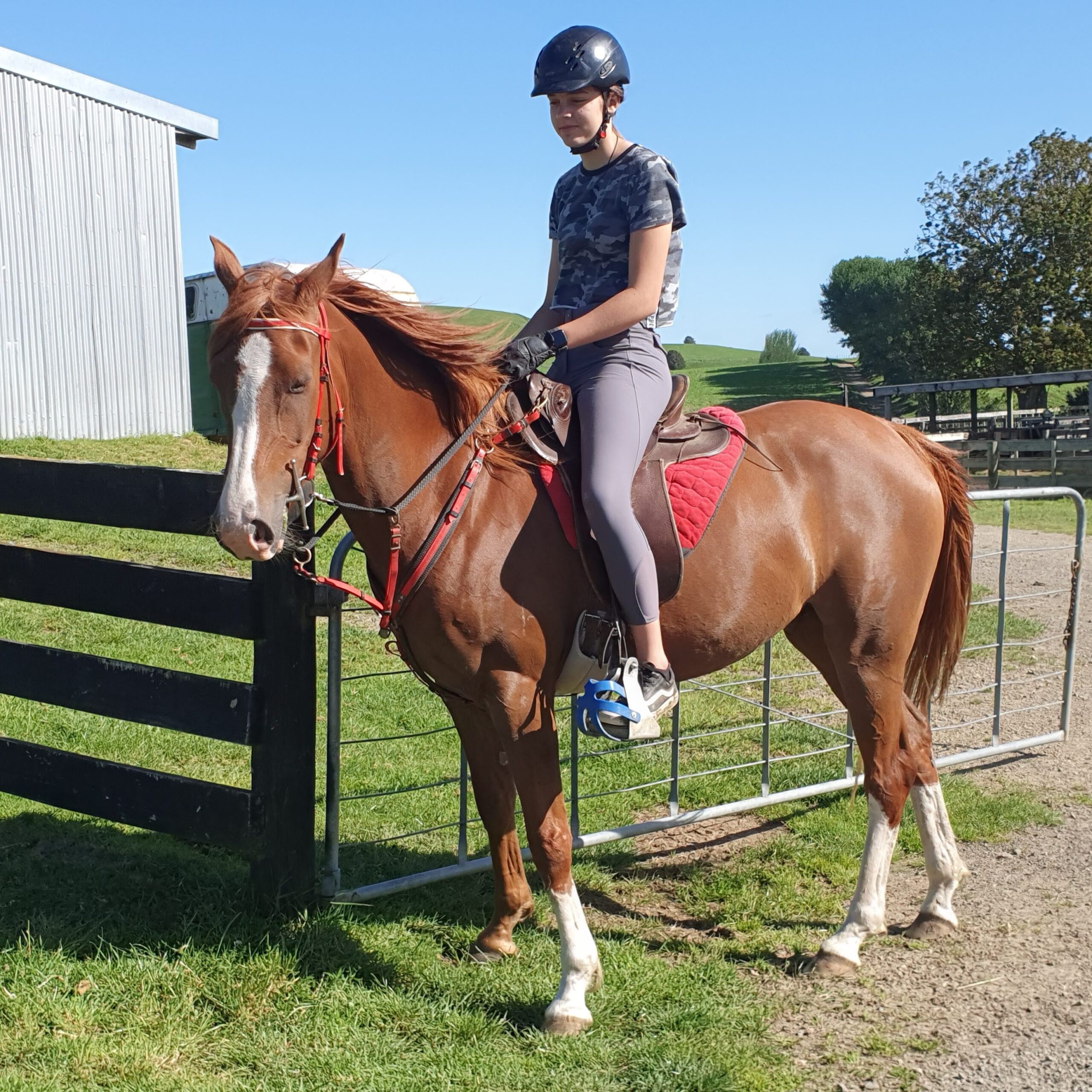 horse riding student international new zealand high school