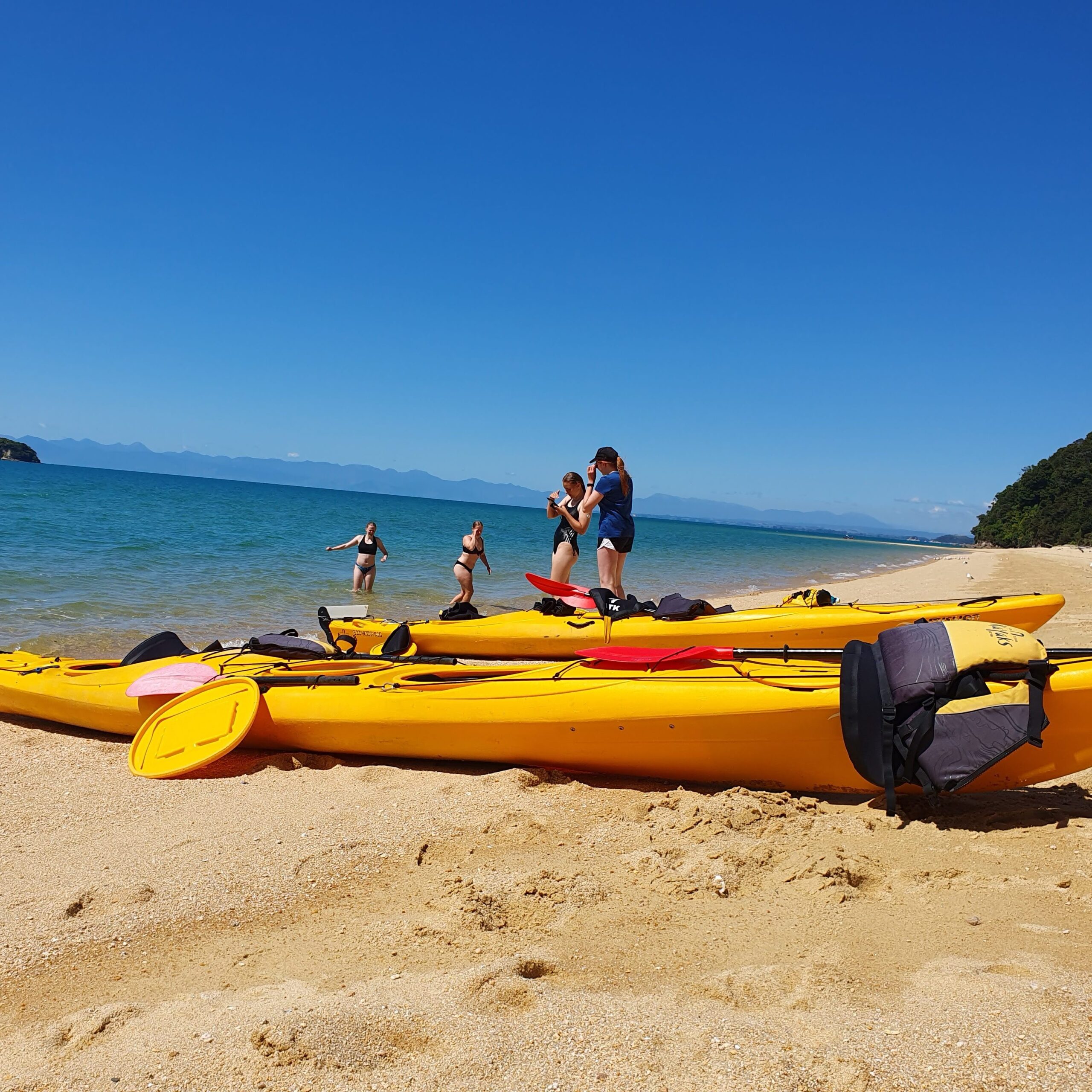 national park international student new zealand school college